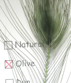 Hareline Stripped Peacock Eye 13 Hareline Stripped Peacock Eye -Fly Fishing Equipment Shop spe263