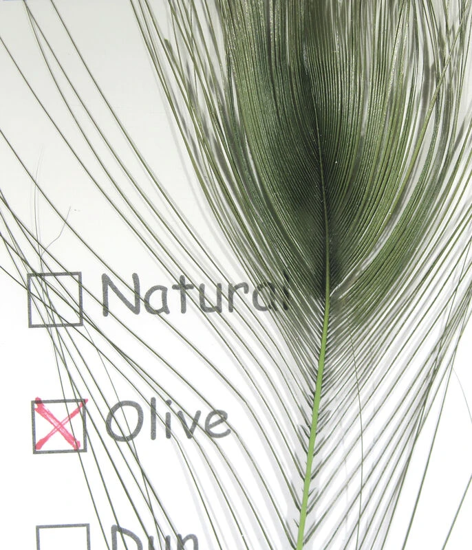 Hareline Stripped Peacock Eye 8 Hareline Stripped Peacock Eye - Image 6