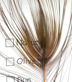 Hareline Stripped Peacock Eye 10 Hareline Stripped Peacock Eye -Fly Fishing Equipment Shop spe310