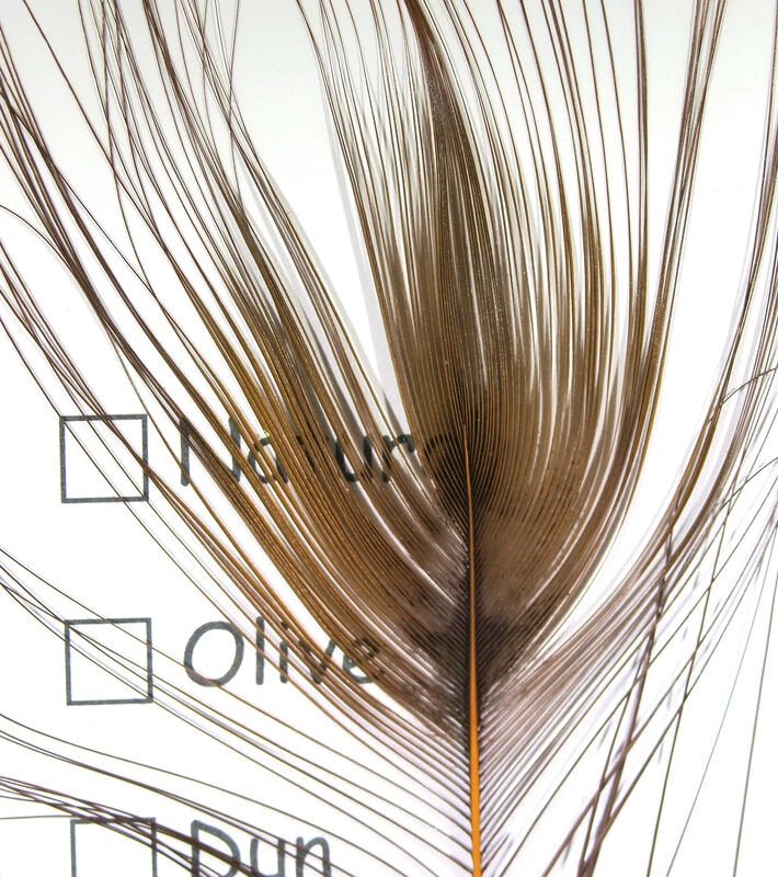 Hareline Stripped Peacock Eye 5 Hareline Stripped Peacock Eye - Image 3