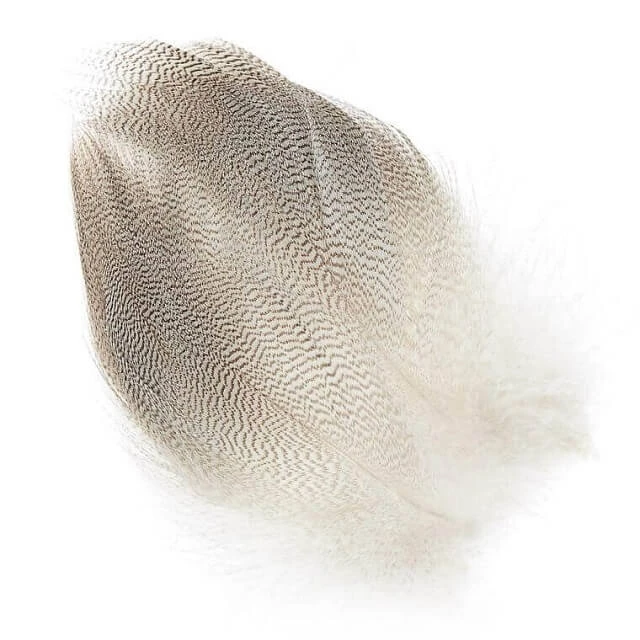 Select Spey Mallard Flanks 4 Select Spey Mallard Flanks - Image 2