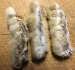 Maine Snowshoe Rabbit Feet