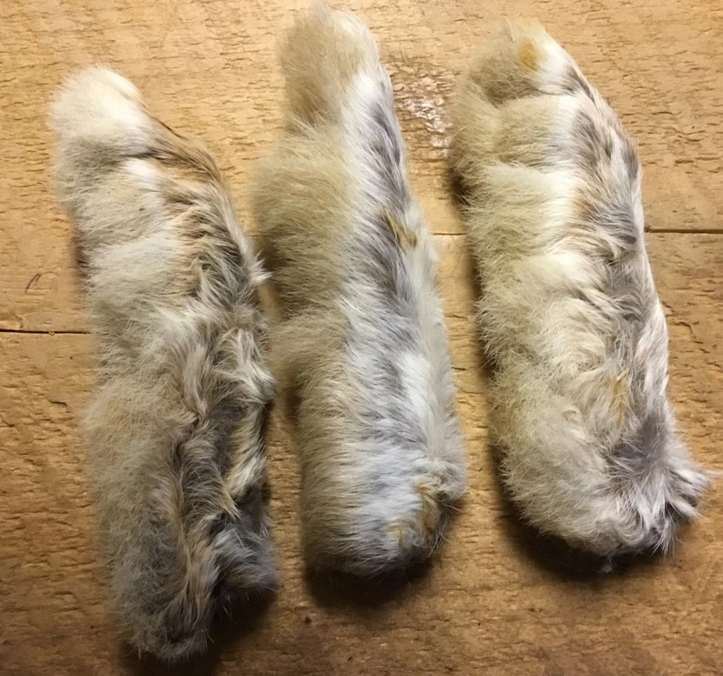 Maine Snowshoe Rabbit Feet 3 Maine Snowshoe Rabbit Feet
