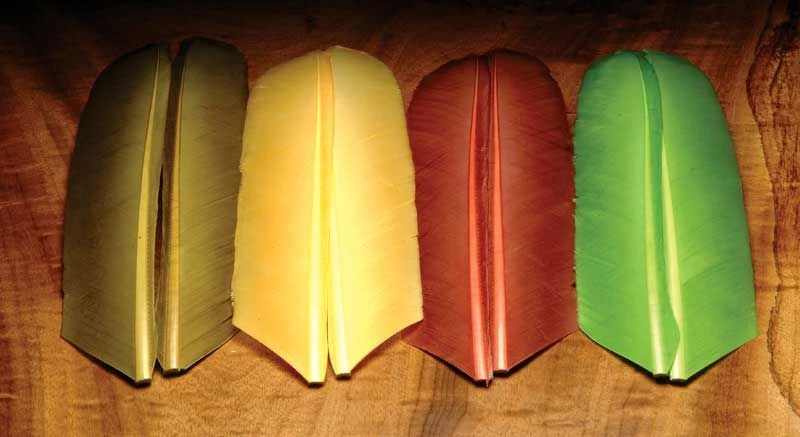 Hareline Turkey Biot Quill 3 Hareline Turkey Biot Quill