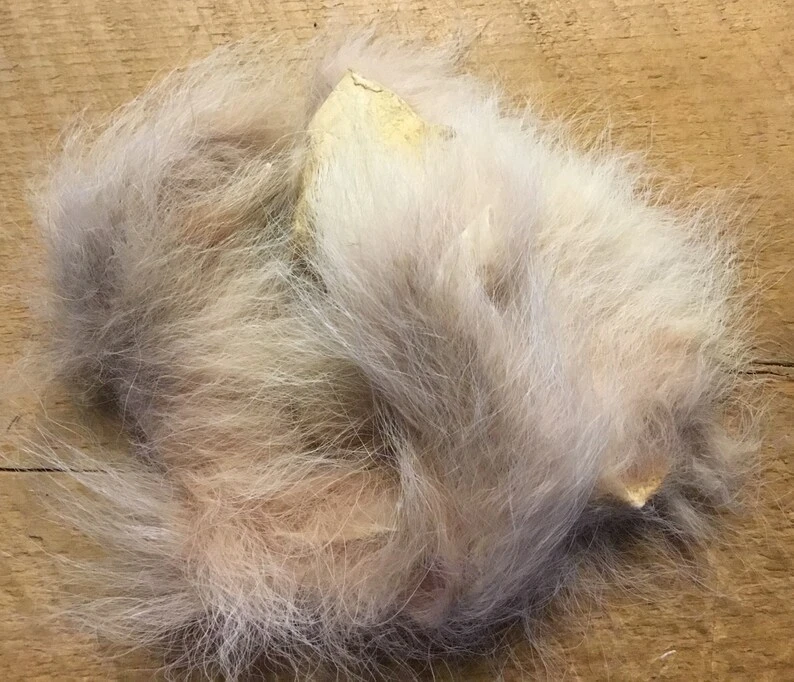 Urine Burned Pink Coyote ( AKA Pink Hendrickson Fur ) 3 Urine Burned Pink Coyote ( AKA Pink Hendrickson Fur )