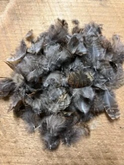 Monarch Woodcock Loose Hackle