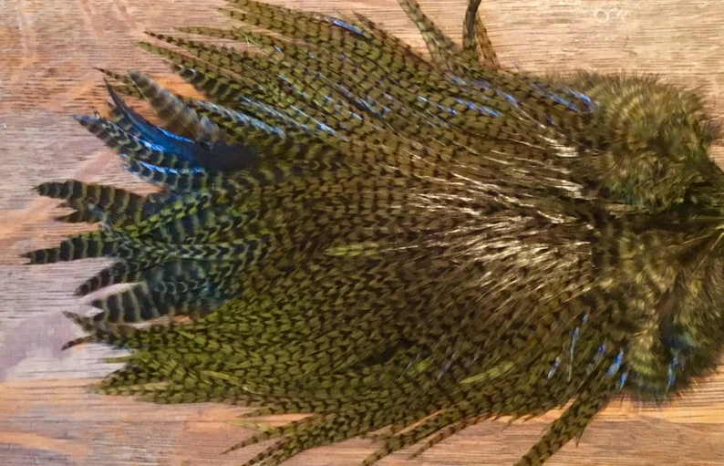 Wapsi Ewing Grizzly Saddles 3 Wapsi Ewing Grizzly Saddles