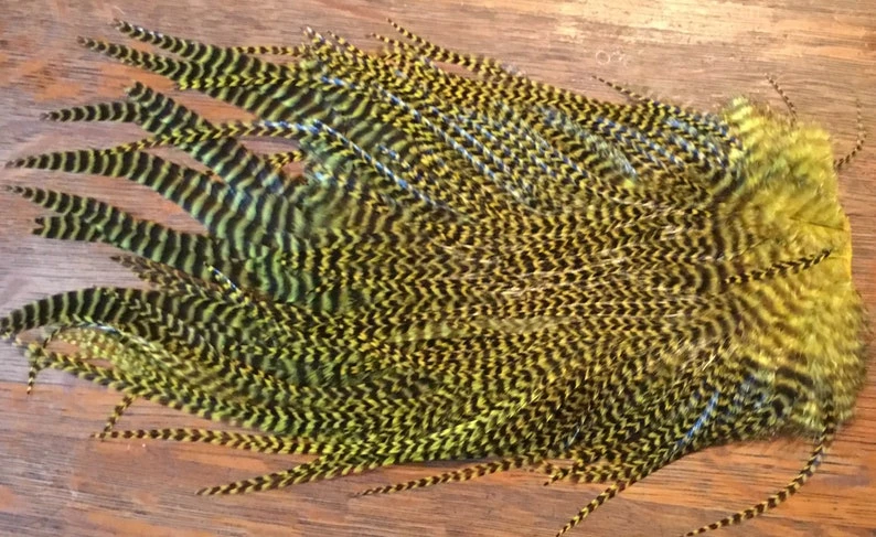 Wapsi Ewing Grizzly Saddles 5 Wapsi Ewing Grizzly Saddles - Image 3