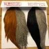Whiting Farms Intro Hackle Pack 1 Whiting Farms Intro Hackle Pack -Fly Fishing Equipment Shop whp1