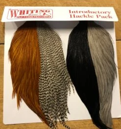 Whiting Farms Intro Hackle Pack