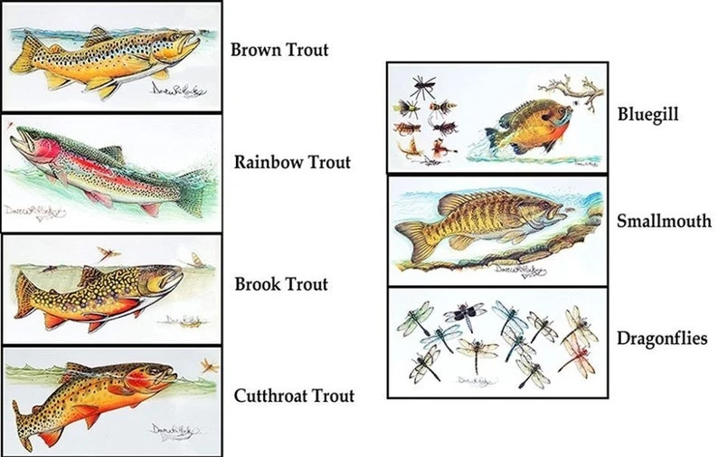 Dave Whitlock Designed Metal Fly Tying Bases 4 Dave Whitlock Designed Metal Fly Tying Bases - Image 2