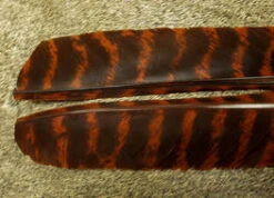 Nature’s Spirit Wild Turkey Barred Biot Quills