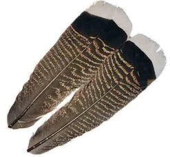 Wapsi White Tip Mottled Turkey Tail Quill